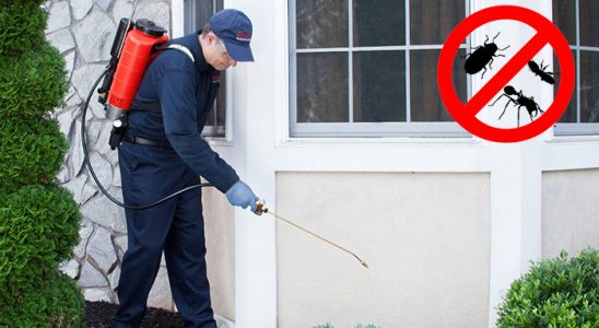 Savaştepe Gümüşkurt İlaçlama böcek ilaçlama ve haşere kontrolü — ilaclama-tr.com